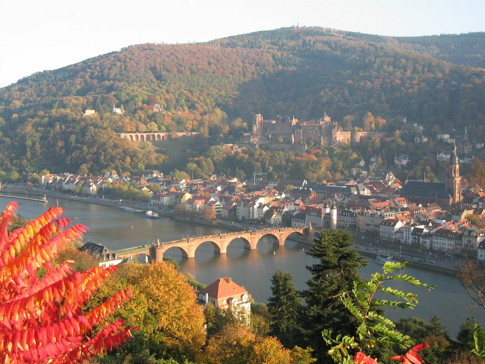 Wohlfuehl-hotel Neu 4* Heidelberg